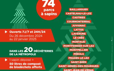 N’abandonnez plus votre sapin dans la rue, recyclez-le !