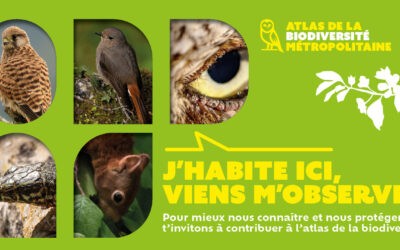 Connaissez-vous l’atlas de la biodiversité métropolitaine ?